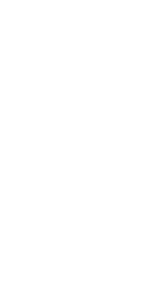 תמונה דקורטיבית