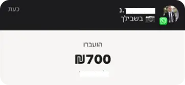 תמונה של עסקה שתלמיד עשה ממכירת דף נחיתה לבעלי עסקים